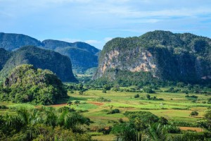 Vinales