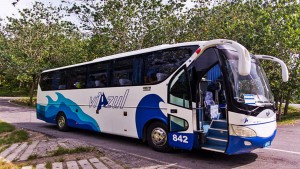 Viazul bus